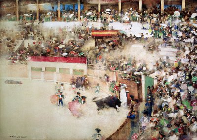The Little Bull Fight. 